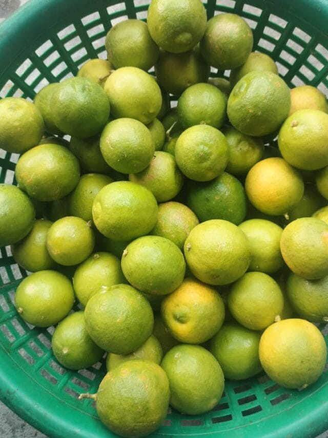 नींबू के खास benefit जाने